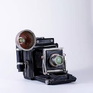 Vintage Folding Camera